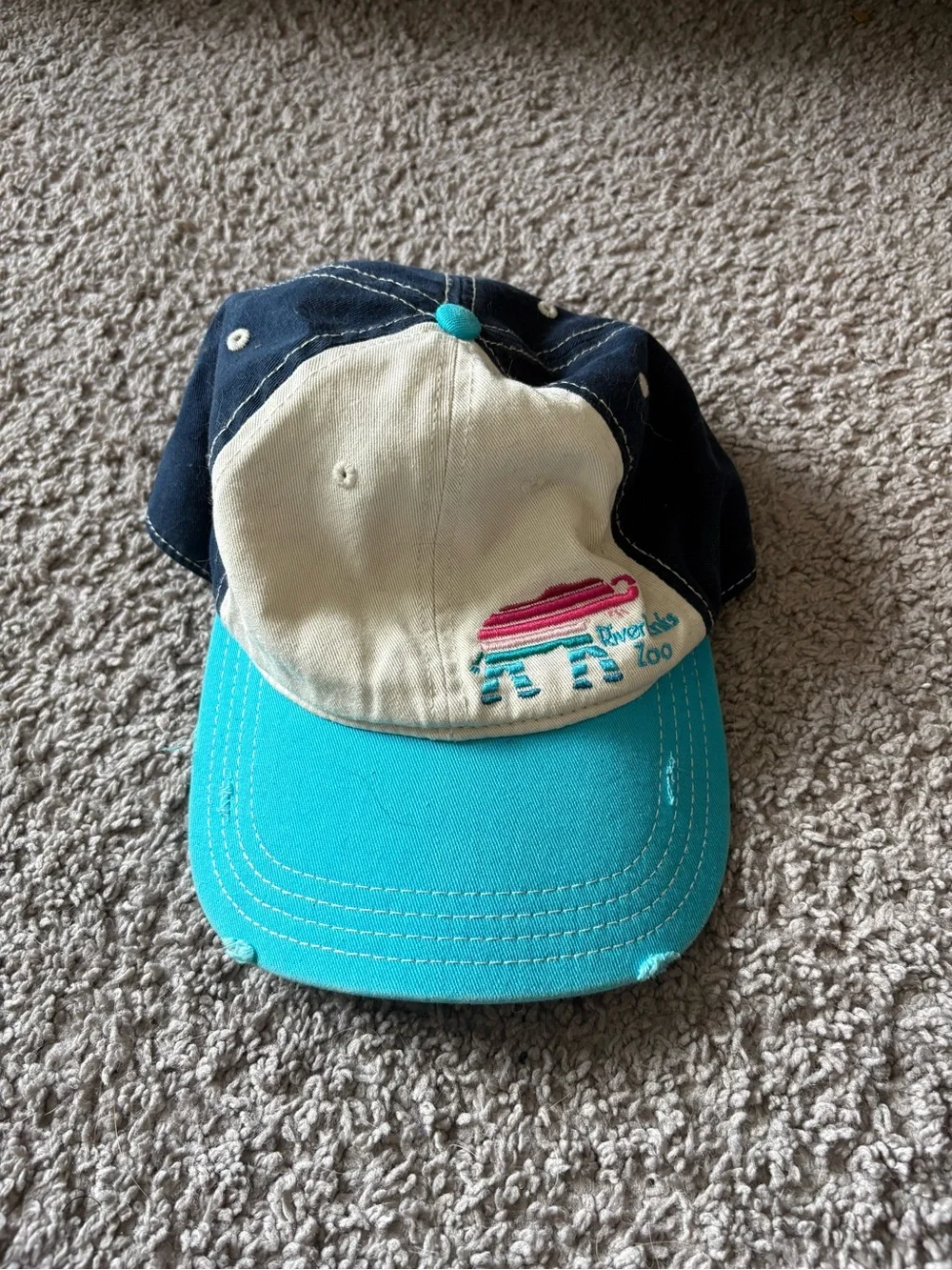 Vintage Turquoise and Navy Colorblock Baseball Cap with Embroidered Animal